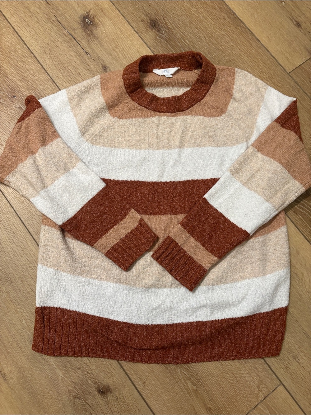 Time and Tru Striped Crewneck Sweater in Rust, Cream & Tan